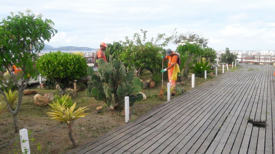 Comsercaf realiza podas de árvores, limpeza, capina, roçagem e reparos na iluminação no Morro da Guia