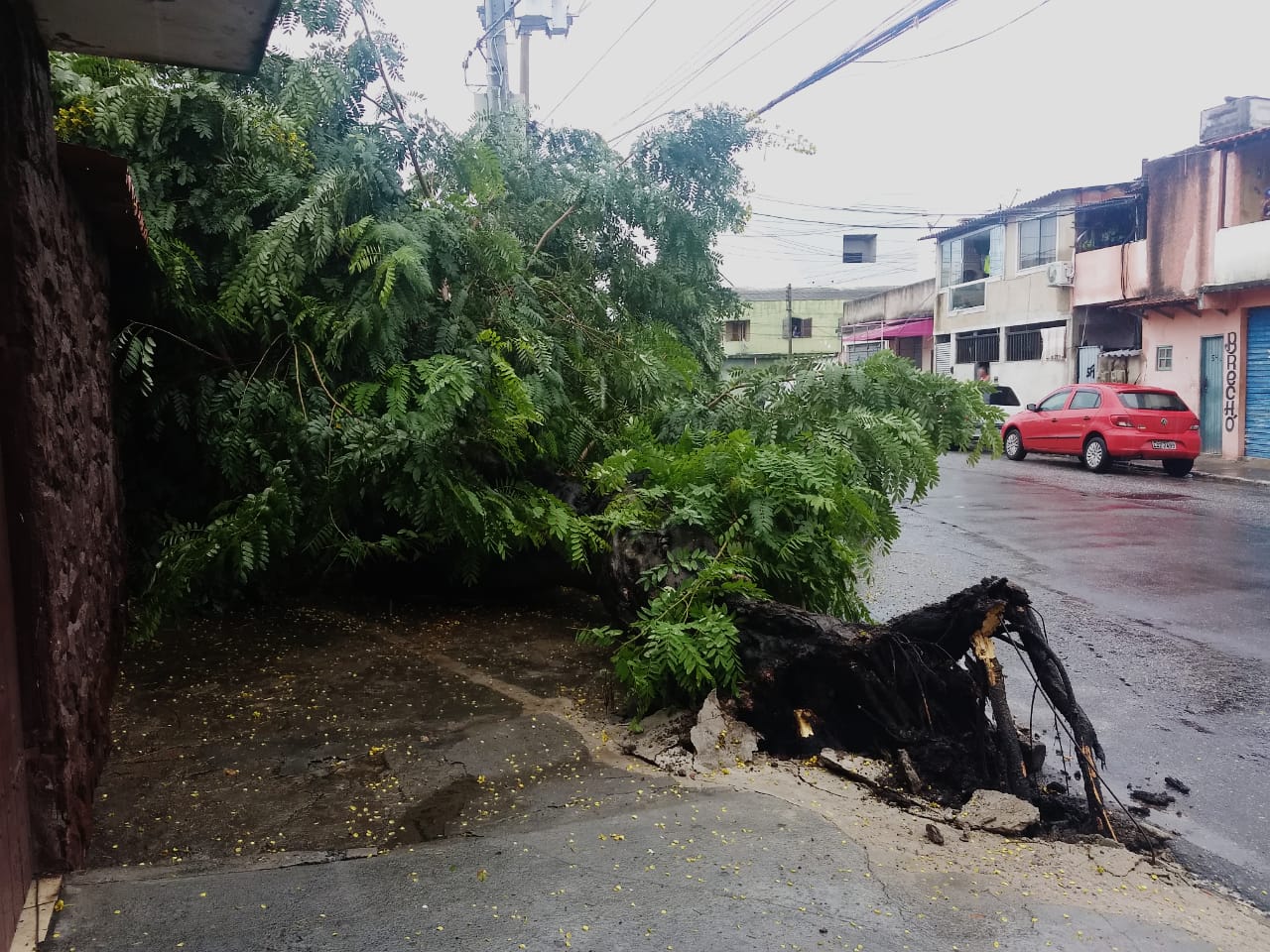 Prefeitura trabalha para limpar as ruas após a chuva