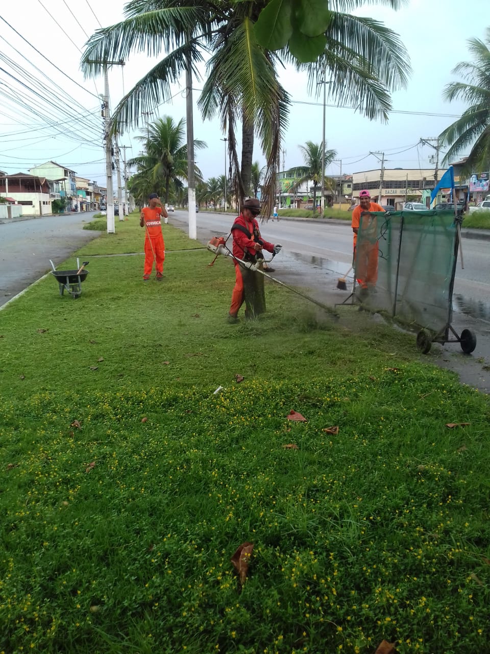 Comsercaf realiza limpeza na Rodovia Amaral Peixoto