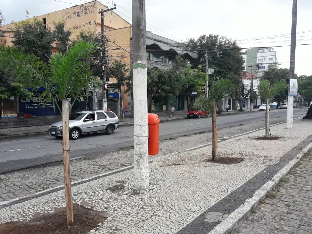 Prefeitura retoma plantio de árvores na Avenida Nossa Senhora da Assunção