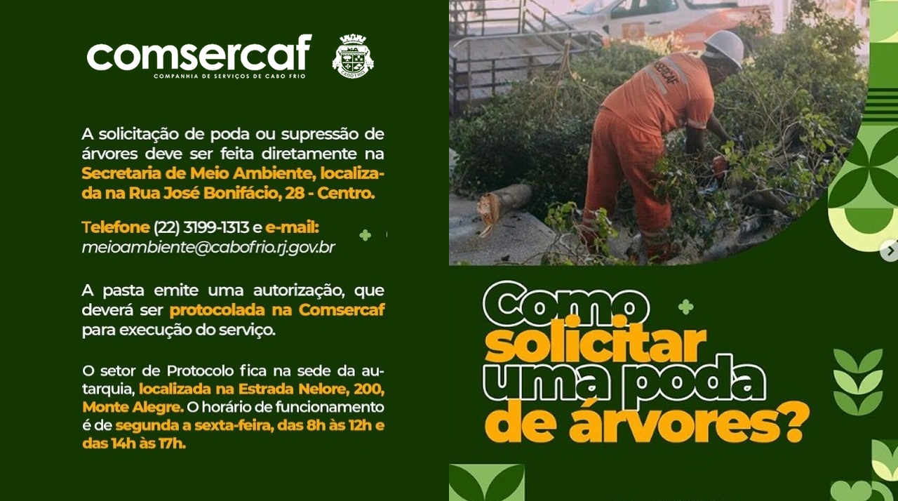 Ei, você já sabe como solicitar a poda de árvores ?