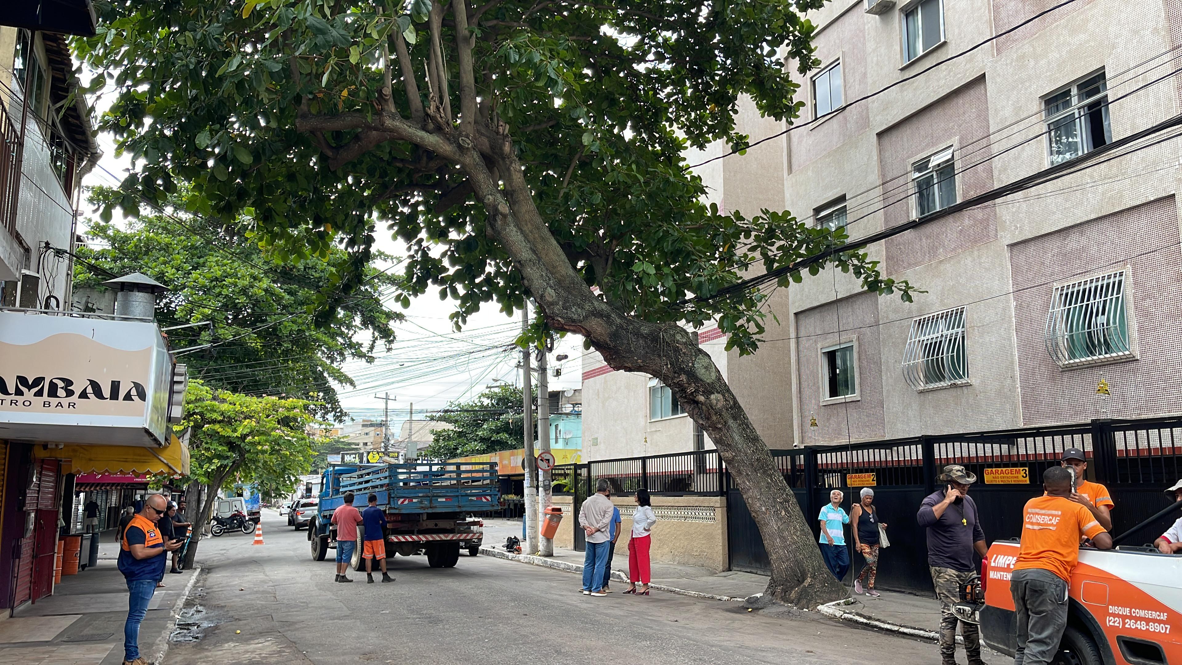 Árvore em risco iminente de queda é removida