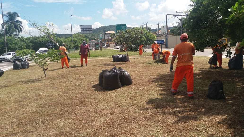 Avenida Wilson Mendes recebe mutirão de corte de grama e poda de árvores