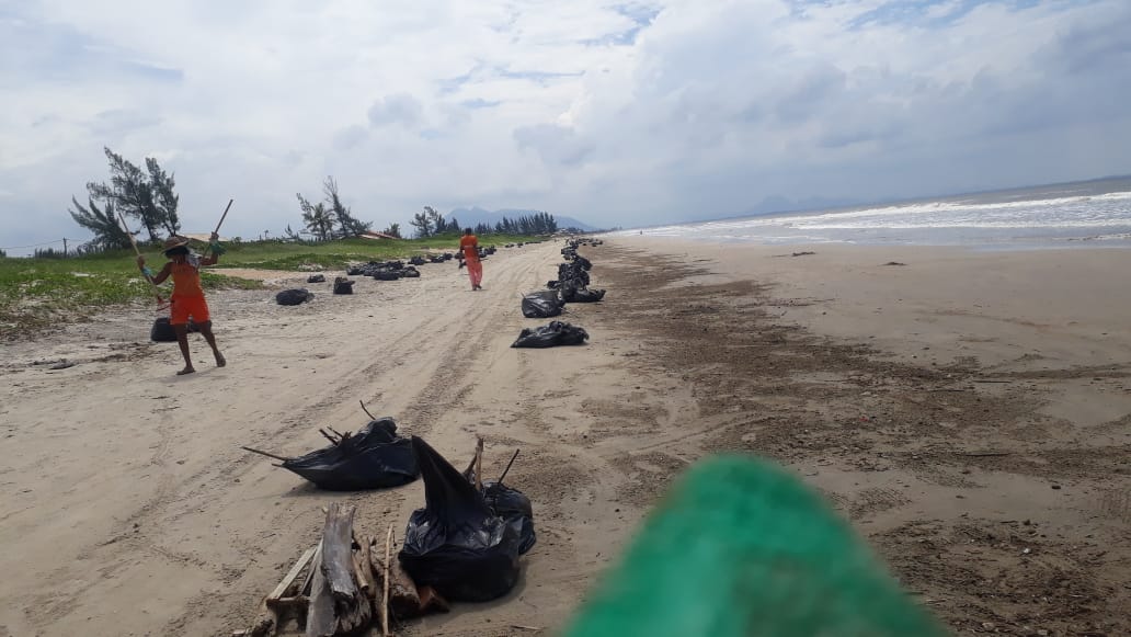 Prefeitura conclui retirada de taboas e gigogas do Orla 500, na Praia de Tamoios