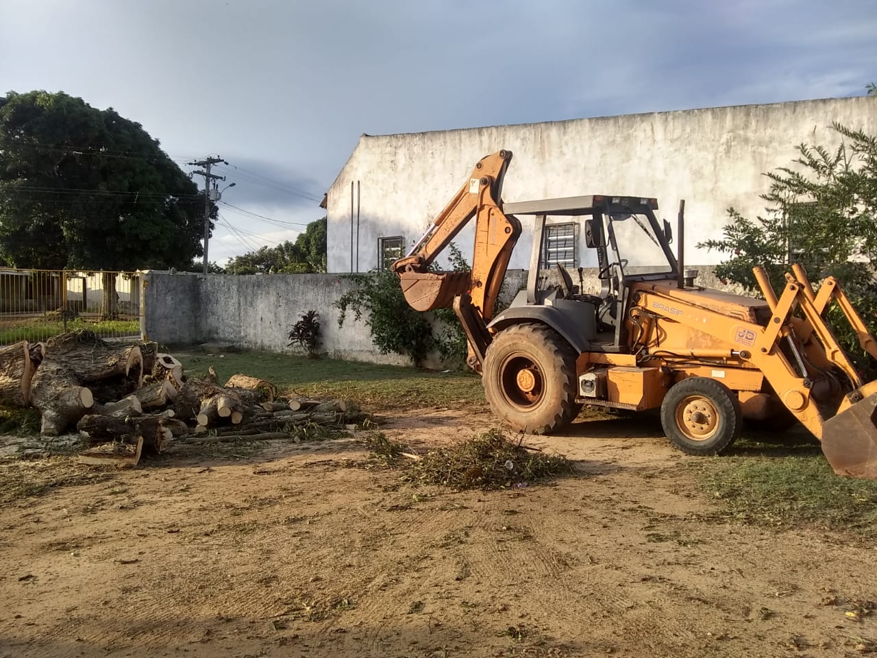 Escola Municipal Pedro Jotha recebe manutenção e poda de árvores