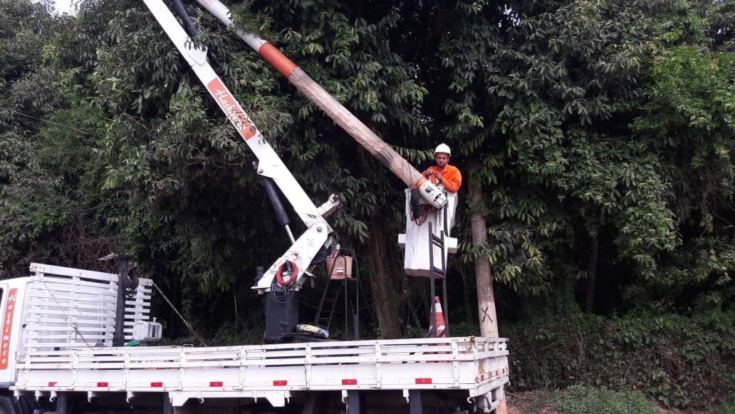 Comsercaf realiza podas de árvores, limpeza, capina e reparos na iluminação no bairro Maria Joaquina