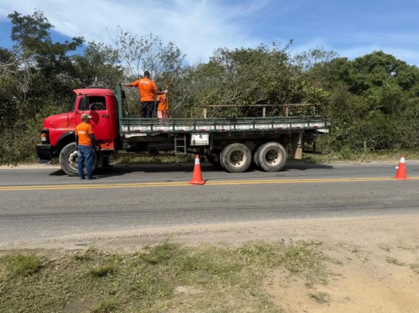 Mutirão de serviços intensifica limpeza e manutenção no Parque Eldorado III e Estrada de Búzios, em Cabo Frio
