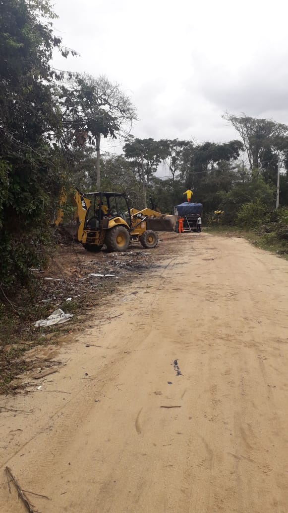 Prefeitura realiza limpeza no Parque Municipal do Mico Leão Dourado