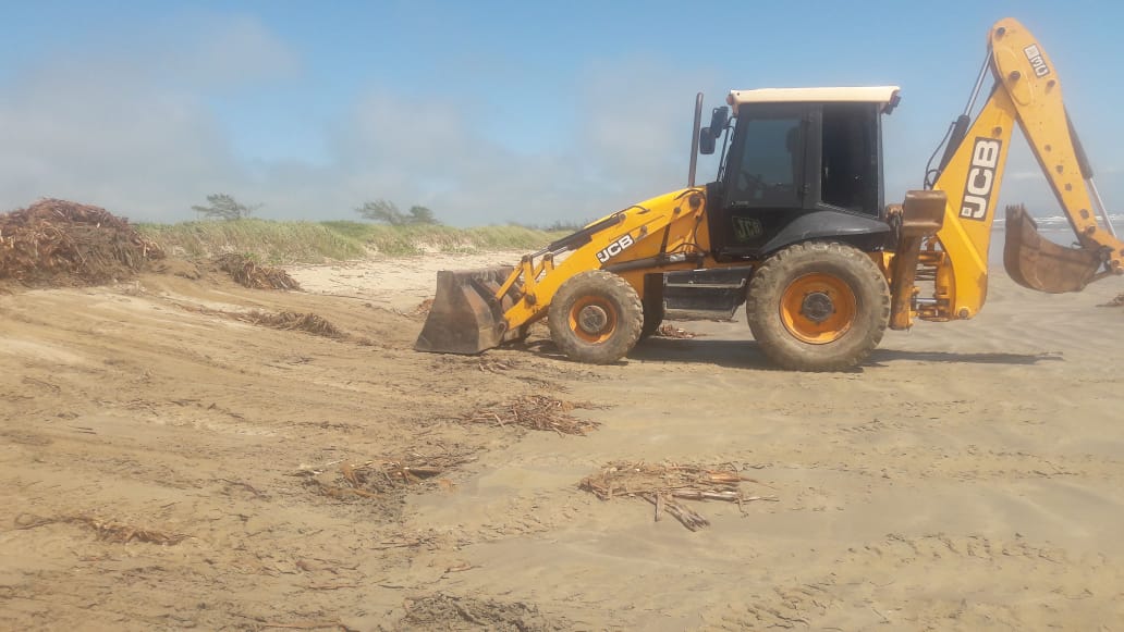 Gigogas voltam a invadir praias de Cabo Frio