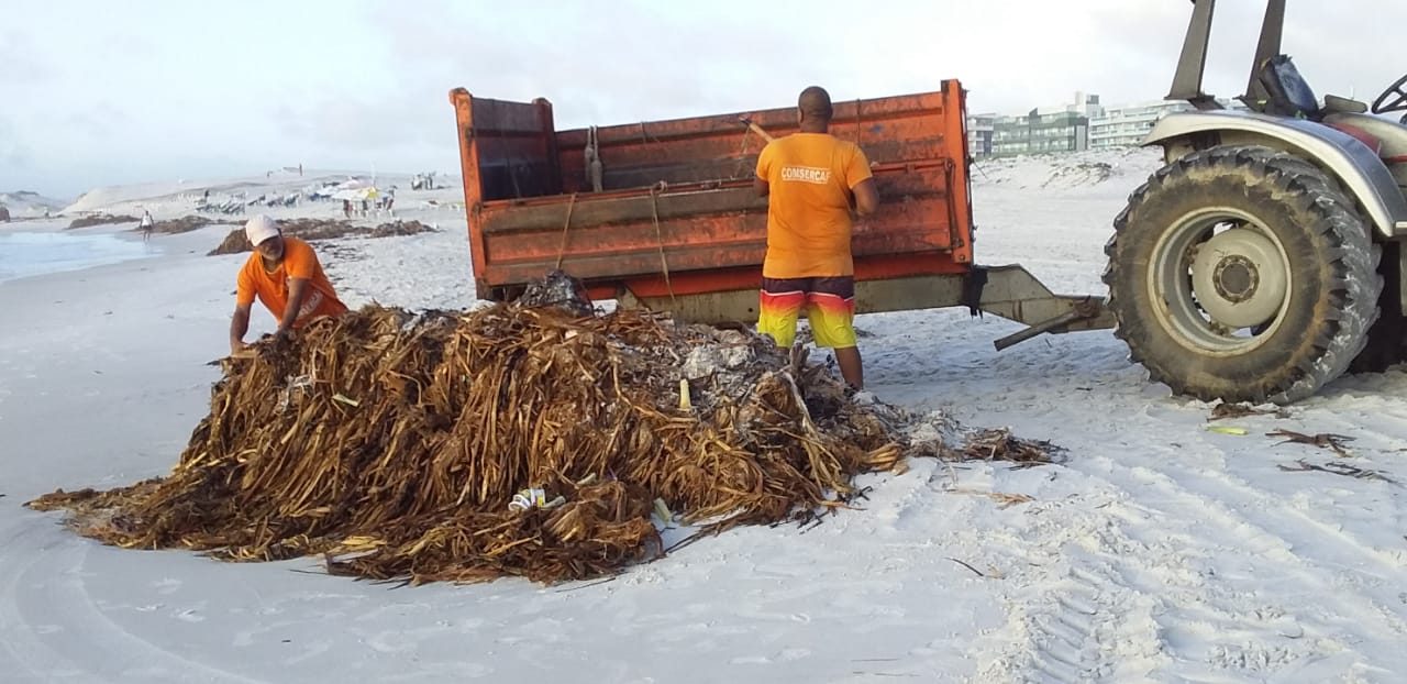 Prefeitura faz mutirão para limpeza das praias