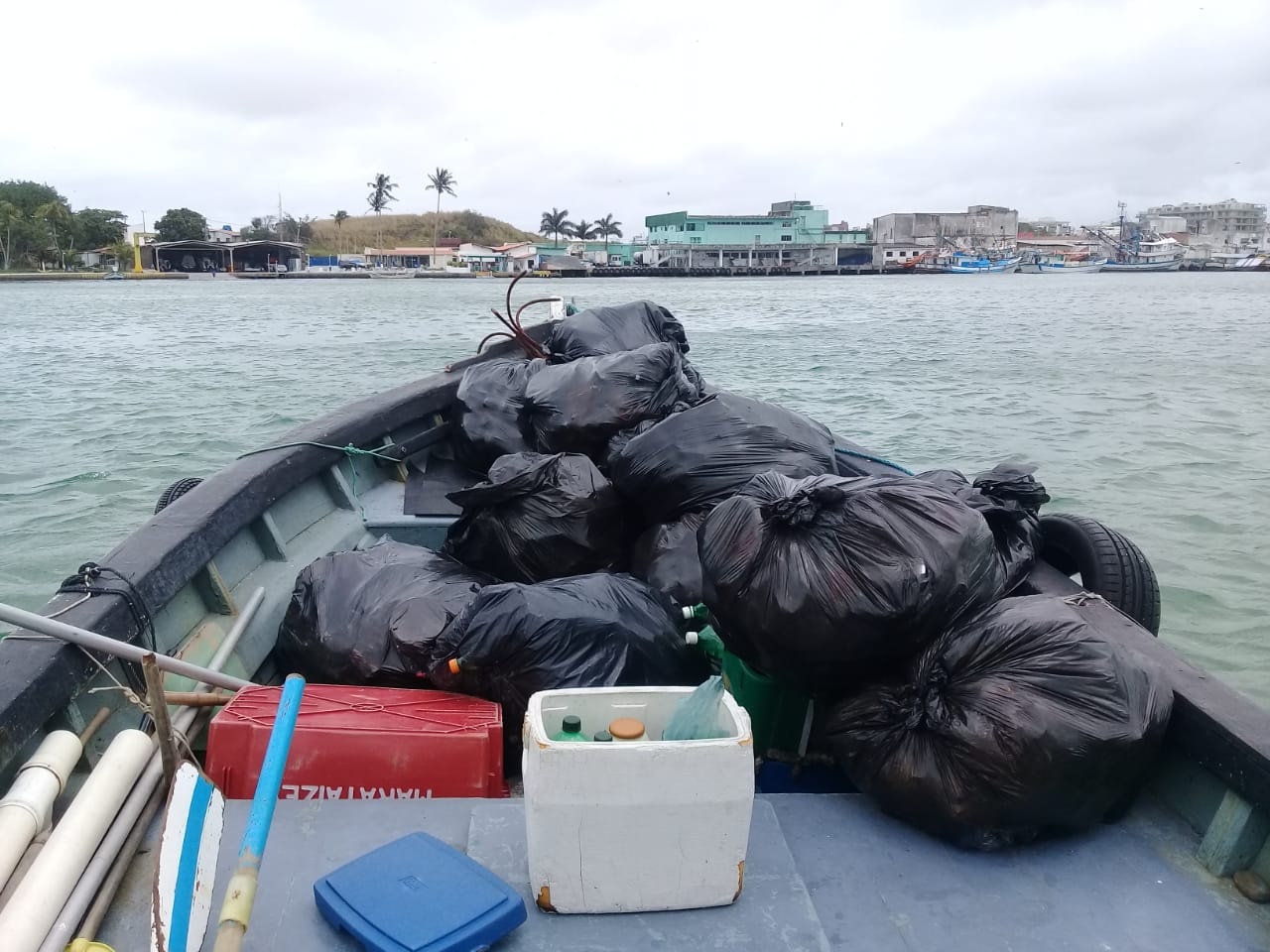 Prefeitura vai promover mutirão de limpeza na Ilha do Japonês