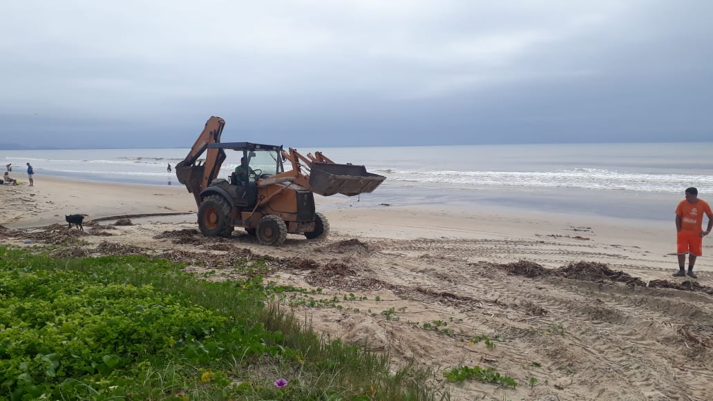 Prefeitura retoma retirada de gigogas da Praia de Tamoios