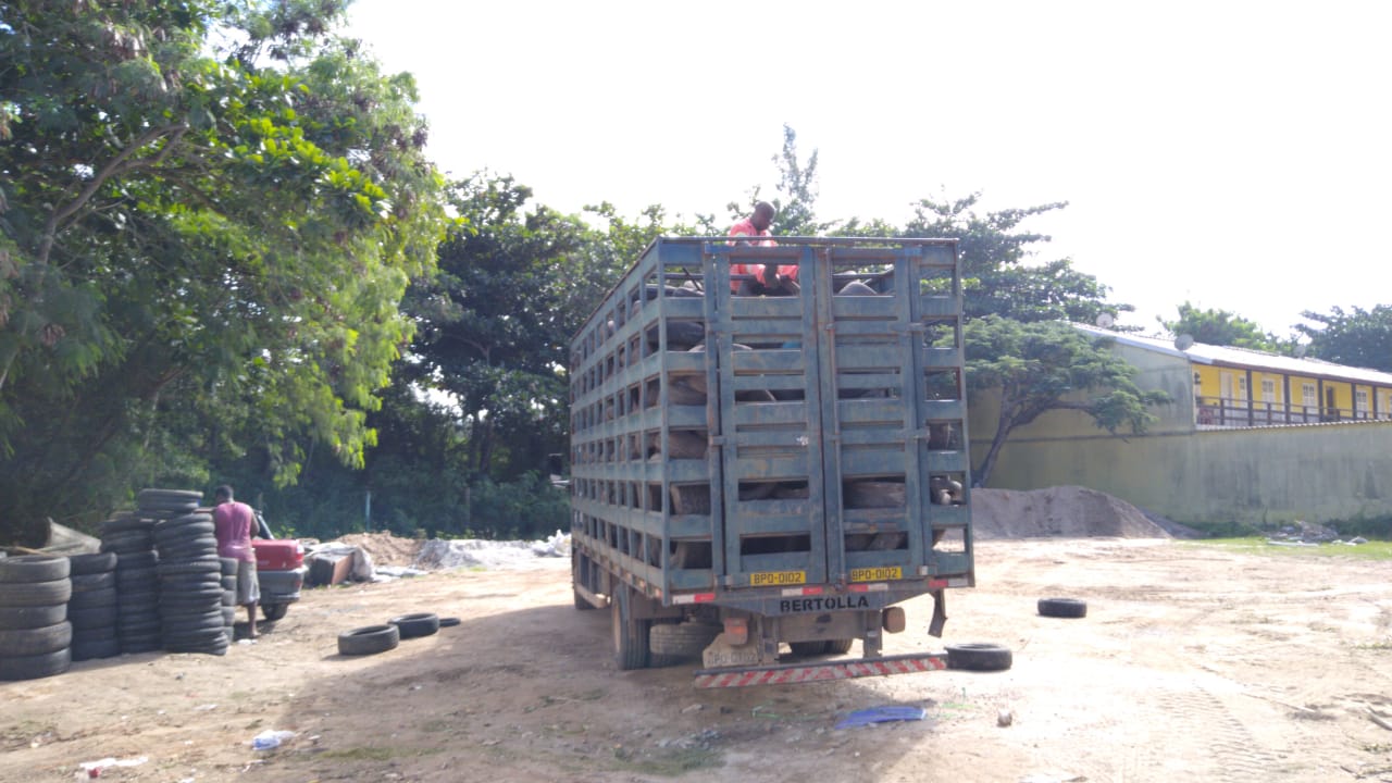 Comsercaf destina 4,5 toneladas de pneus para reutilização
